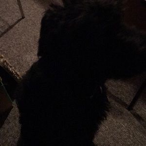 Meet your Posher, Deborah